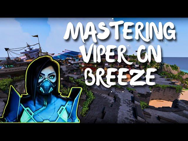 Beginner Viper Guide for BREEZE