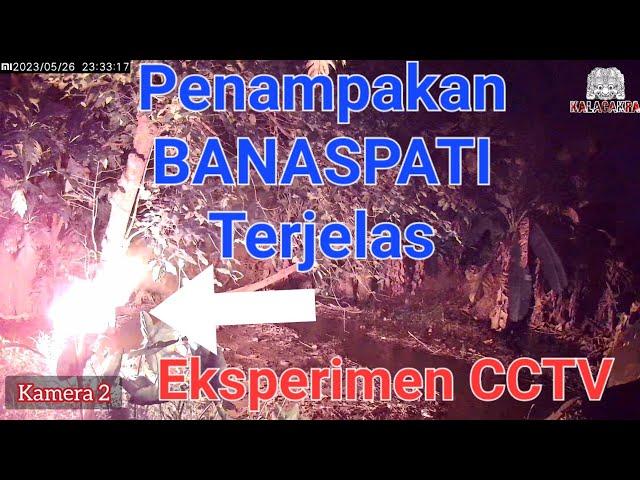 Beginilah Wujud Banaspati Sesungguhnya, Eksperimen CCTV Di Bungin, Lokasi paling Wingit