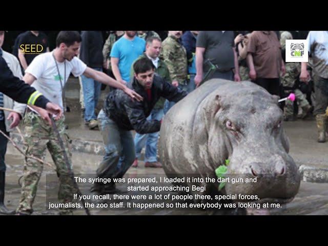 SEED Pro Natura - Flood in Tbilisi | პრო ნატურა - თბილისის წყალდიდობა