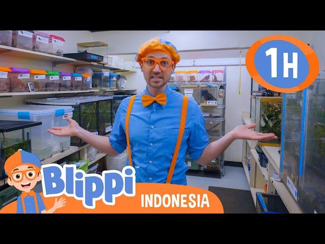 Memberi Makan Hewan di kebun Binatang | Blippi Bahasa Indonesia - Video Anak | Petualangan Blippi