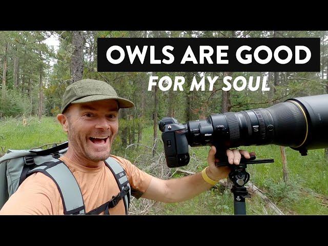 Owls Are Good For My Soul - Wildlife Photography Vlog in the Tetons - Hiking and Shooting Nikon Z9