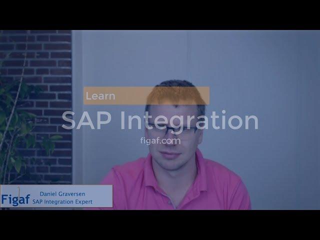 Learning SAP Integration