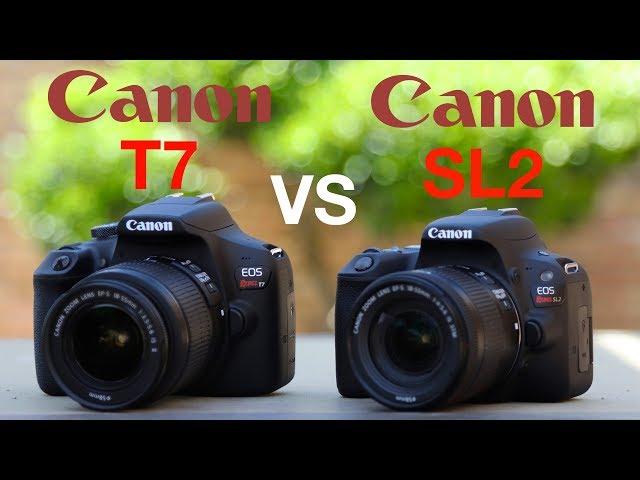 Canon T7 (1500D) vs SL2 (200D)