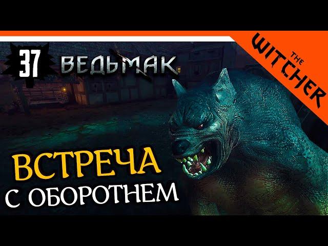 ОБОРОТЕНЬ НА ПУТИ У ВЕДЬМАКА ► The Witcher 1 (Ведьмак 1) Прохождение на русском