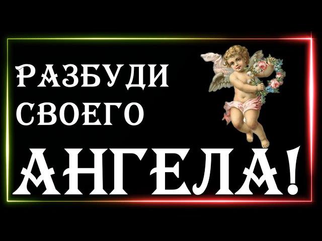 Упайи Солнцу, Пушкара Навамша и  наши ангелы хранители