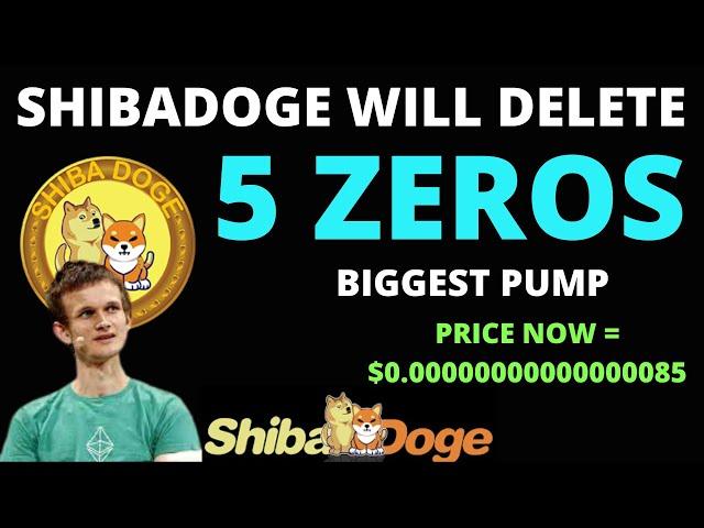 SHIBADOGE TO DELETE 5 ZEROS AND HOLDERS WILL BECOME MILLIONAIRES