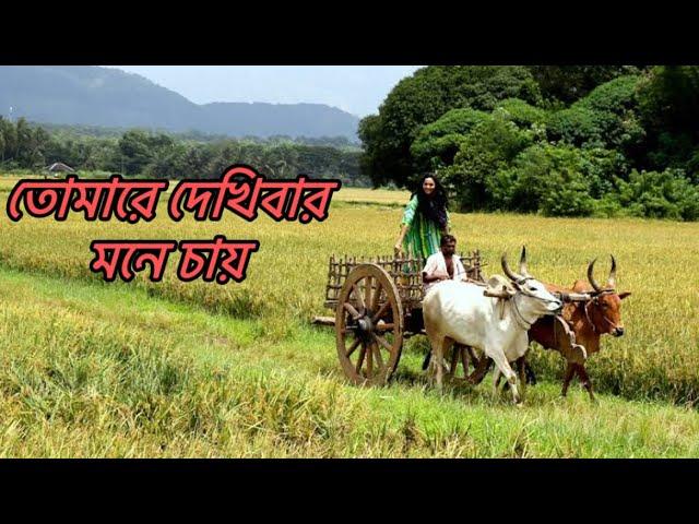 তোমারে দেখিবার মনে চায় || Tomare Dekhibar Mone Chay || Coverd By Kazal Roy ||