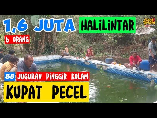 88 : MANCING GURAMEH BABON,... JUGURAN PINGGIR KOLAM SAMBIL MAKAN KUPAT PECEL