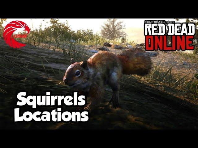 Squirrels Locations rdr2 Online - Red Dead Online Squirrels Location Guide