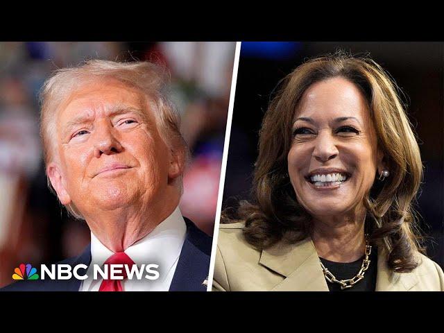 Harris’ favorability skyrockets as 2024 race increasingly becomes ‘referendum on Trump’