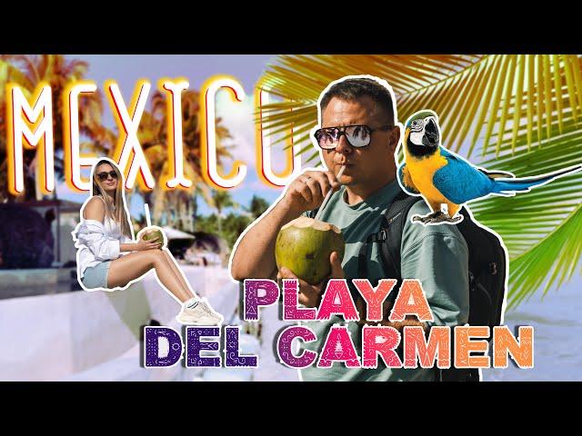 Мексика 2023. Переезд в Playa Del Carmen. Сняли квартиру. Что не так с пляжем?