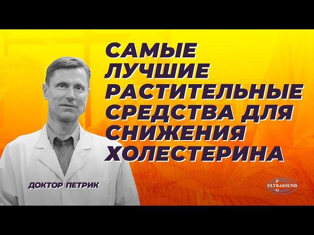 Самые лучшие растительные средства для снижения холестерина