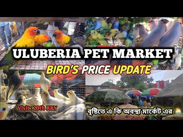 ULUBERIA PET MARKET BIRD'S PRICES UPDATE ON 20th JULY. #uluberia_pet_market #cheapestprice #viral
