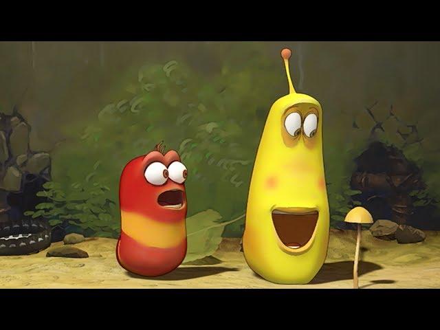 LARVA - MUSHROOM | 2017 Cartoon Movie | Videos For Kids | Kids TV Shows Full Episodes