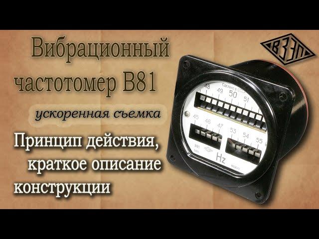 Вибрационный частотомер В81. Принцип действия, конструкция, ускоренная съемка