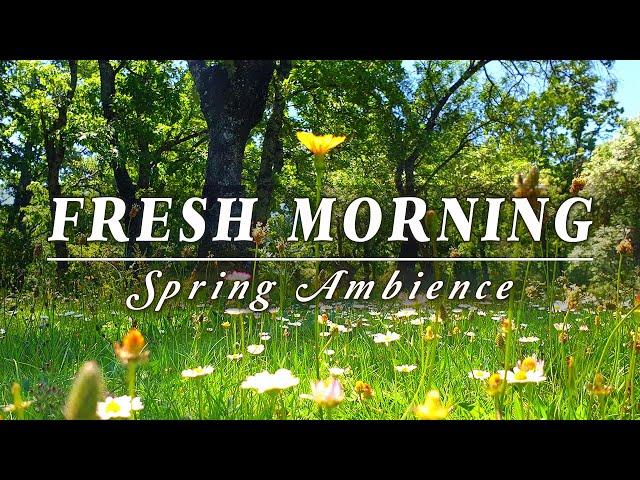 Begin Your Day with the POSITIVE ENERGY of Healing Spring SoundsFresh Morning Ambience Meditation