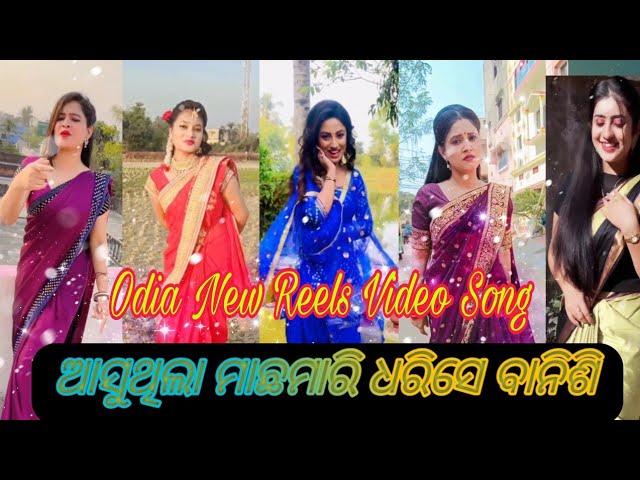 Odia New Tik Tok Video || Odia New Reels Video || Odia New Comedy Video || Odia New Viral Song ||