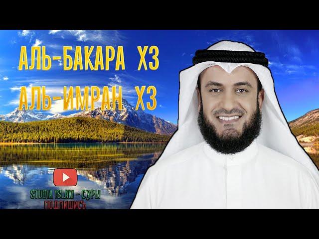 3x АЛЬ-БАКАРА, 3x АЛЬ-ИМРАН | МИШАРИ РАШИД