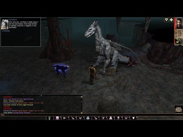 Neverwinter Nights EE - Shadows of Undrentide Walkthrough | 010 - Tymofarrar