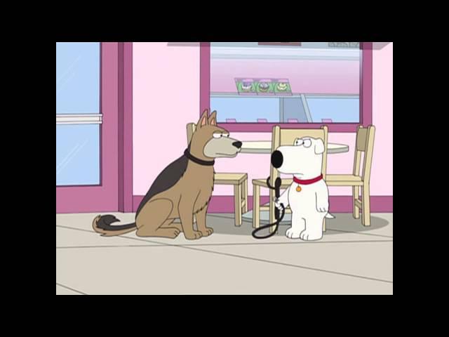 Brian Lets A Dog Loose Family Guy S8 Ep8