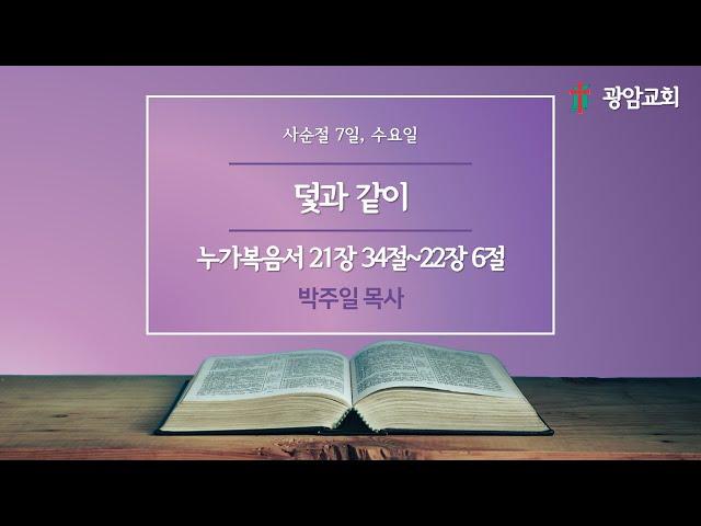 덫과 같이, 누가복음서 21장 34절~22장 6절, 사순절 7일, 수요일, 박주일 목사