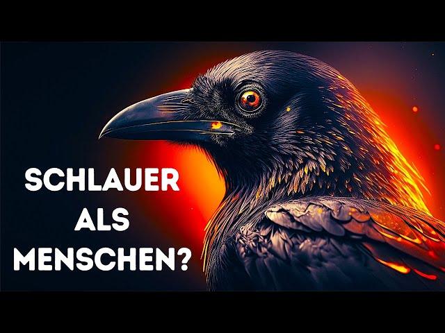 Krähen sind nicht nur schlau, sie sind beängstigend schlau