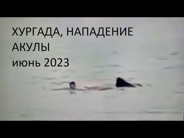 ХУРГАДА. НАПАДЕНИЕ акулы июнь 2023.