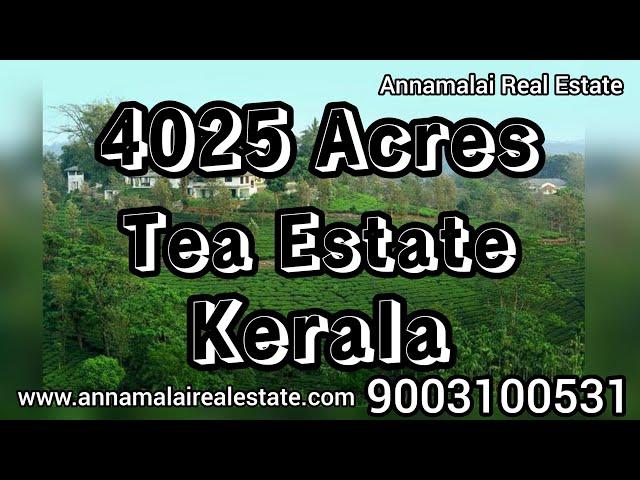 4025 Acres Tea Estate for Sale in Kerala  - Annamalai Real Estate