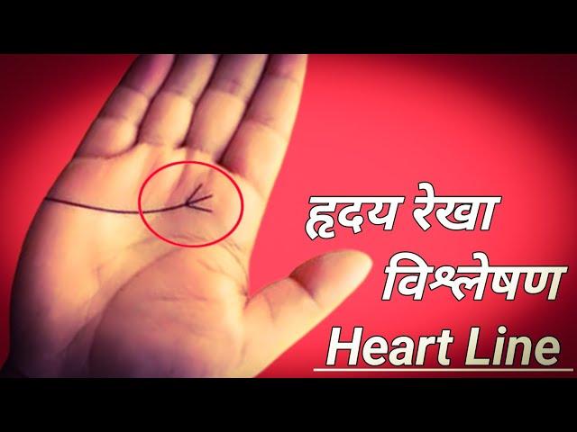 Hriday Rekha Se Sambandhit Jaankari | Hriday Rekha Do Mukhi | Heart Line Palmistry | Hriday Rekha