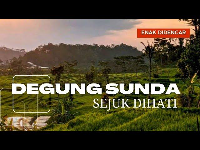  DEGUNG SUNDA MENYEJUKAN HATI 1 JAM FULL ALBUM BUAT SANTAI DENGAN KECAPI SULING