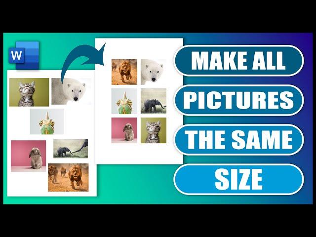 How To Make Pictures in Word The Same Size | EASY TUTORIAL