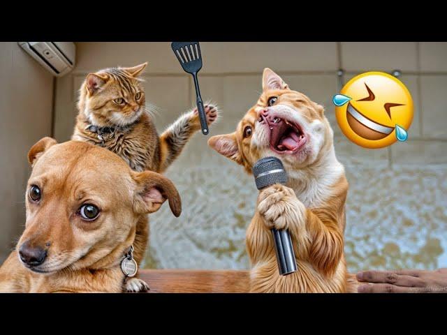 Funniest Animals  New Funny Cats and Dogs Videos  - Ep.9