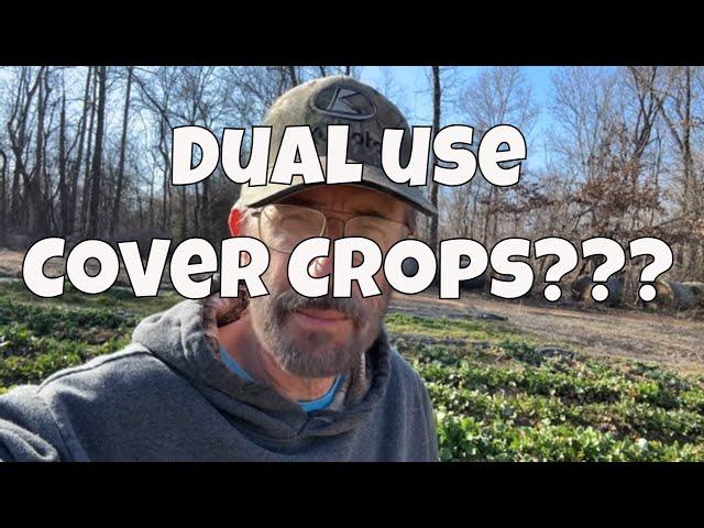 Dual Use Cover Crops: Discover the Power of Turnips 