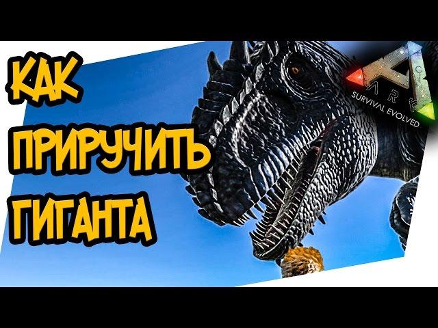 ARK: Survival Evolved - КАК ПРИРУЧИТЬ ГИГАНОТОЗАВРА (giganotosaurus)