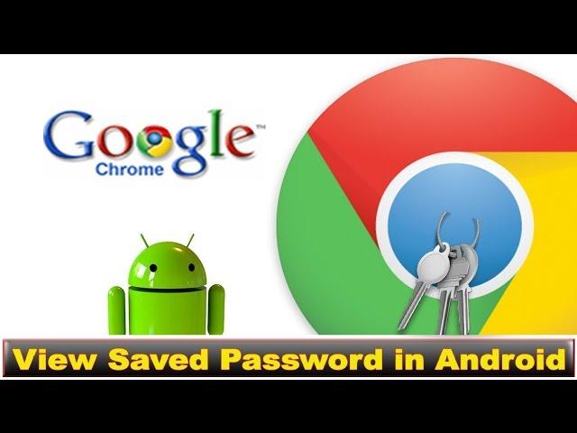 How to find saved passwords on google chrome in android