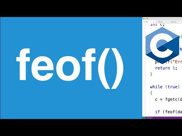 feof() Function | C Programming Tutorial