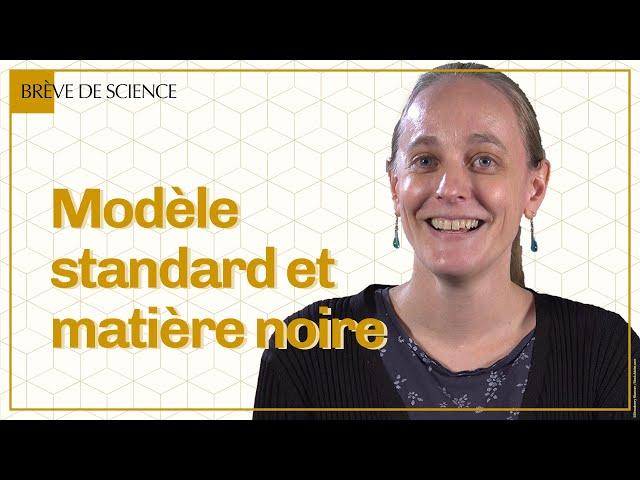 Modèle standard et matière noire | #BrèveDeScience