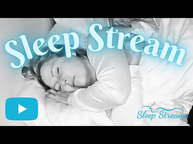 ASMR Calm Sleep/Snore Stream with Puppies