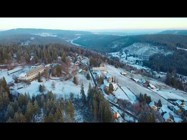 Cinematic Drone Shots  Black Forest