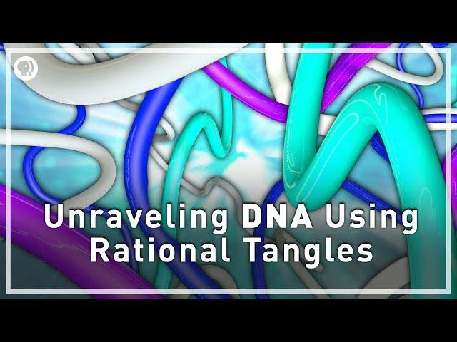 Unraveling DNA with Rational Tangles | Infinite Series