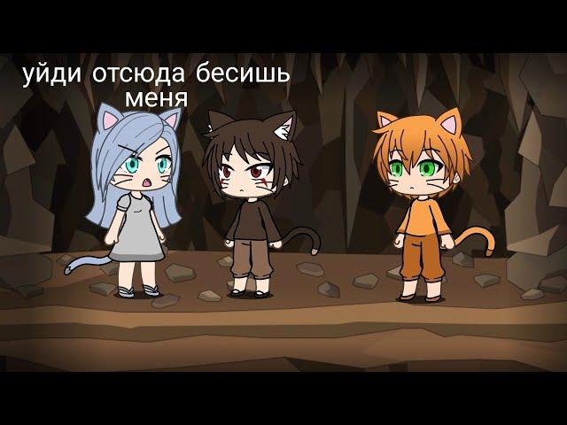 Коты-воители | Первый цикл |~в двух словах •Gacha Life•