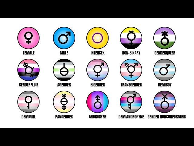 Every GENDER Identity Explained in 10 minutes