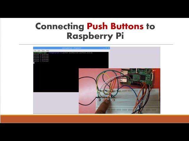 How to Connect Push Buttons to Raspberry Pi
