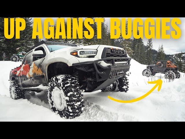 IFS Tacoma Snow Wheeling With Dirt Lifestyle Buggies - Can it hang?