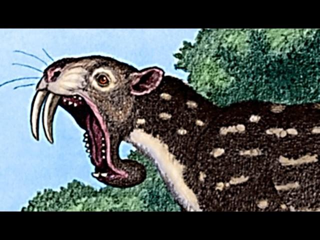 The Weird Origins of Marsupials