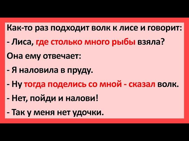 Как-то Раз Подходит Волк к Лисе и Говорит: – Лиса, Где Столько... Сборник Свежих Анекдотов! Юмор!