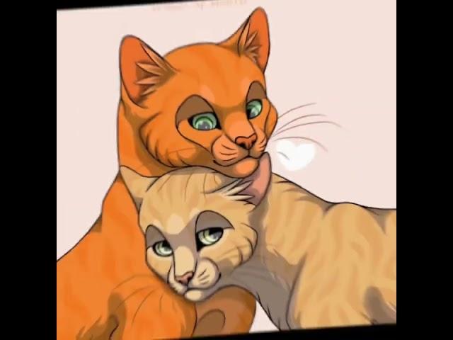 Warrior Cats Edit-  Four Clan's 