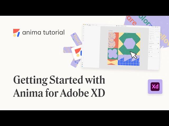 Getting Started with the Anima plugin - Anima for Adobe XD