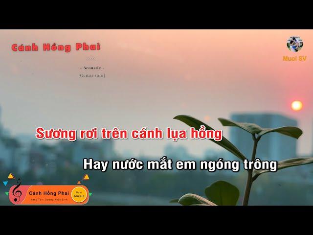 Cánh Hồng Phai - (Guitar beat solo karaoke) Tone Nữ, Muoi Music | Muối SV