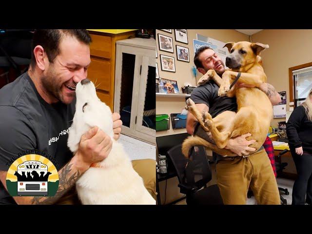 We went to rescue a sweet special needs dog and came back with Scooby Doo, too! | Lee Asher